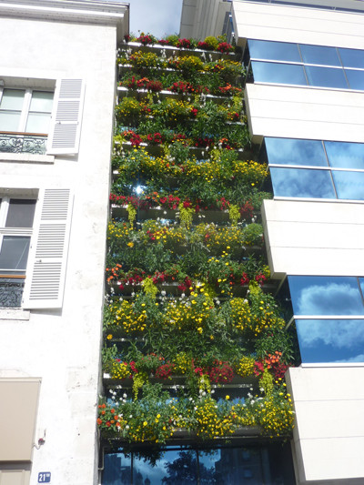 Le mur végétal implanté au siège d'HARMONIE MUTUELLE à Orléans. 1 mois de développement. - Travaux réalisés